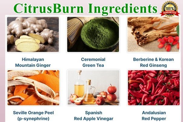 Citrusburn Ingredients