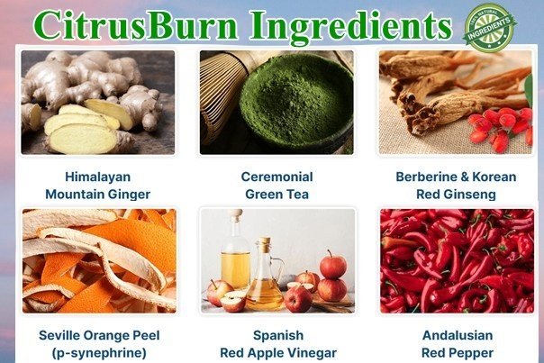 Citrusburn Ingredients